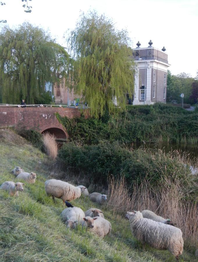 Villa Logies De Zeeuwse Klei, Een Gezellig Jaren 30 Huis Middelburg Exterior foto